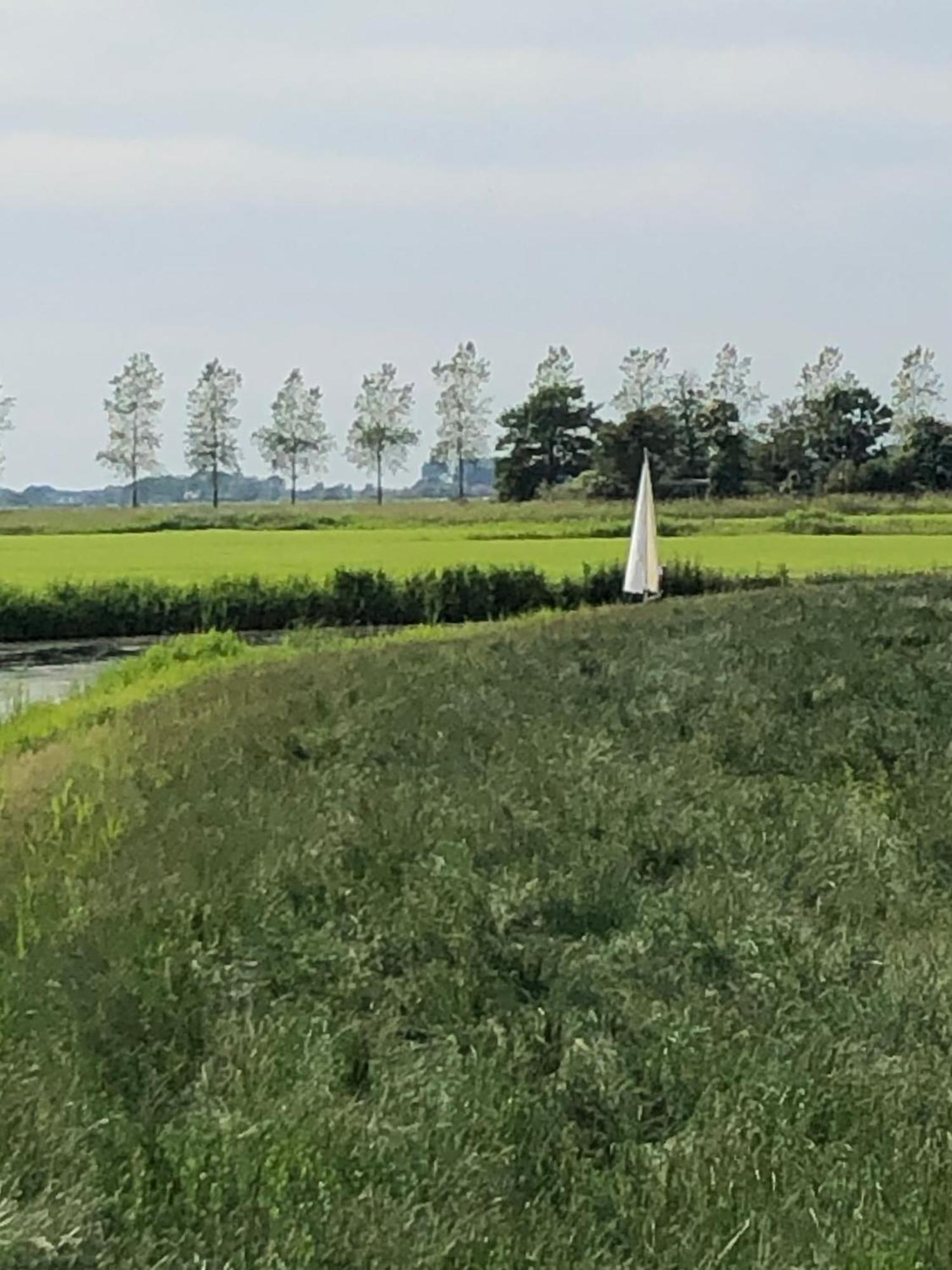 Albertine Agnes Tiny House Franeker Eksteriør bilde
